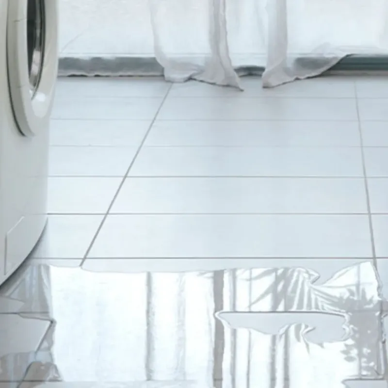Appliance Leak Cleanup in Eastland, TX