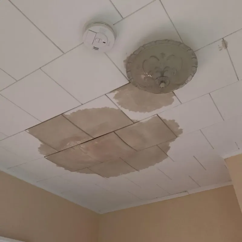 Ceiling Water Damage Repair in Eastland, TX